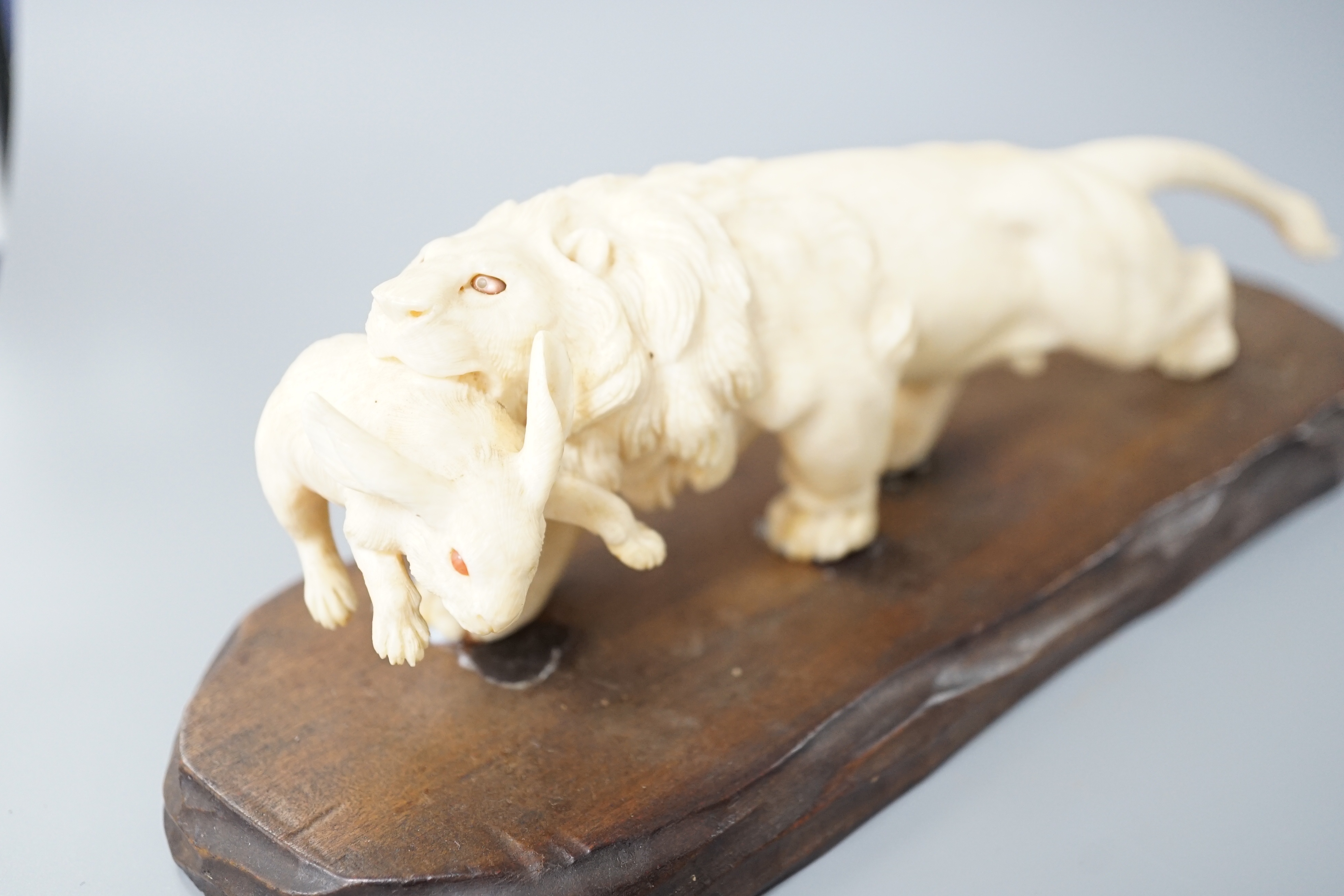 A Japanese ivory group of a lion grasping a hare in its mouth, wood stand, Meiji period, together with a similar figure of a water buffalo (2) largest 22cm